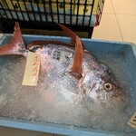 Queen's Mart ヤオマサ - 店内