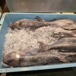 Queen's Mart ヤオマサ - 店内