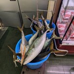 Queen's Mart ヤオマサ - 店内