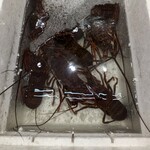 Queen's Mart ヤオマサ - 店内