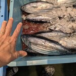 Queen's Mart ヤオマサ - 店内