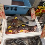 Queen's Mart ヤオマサ - 店内