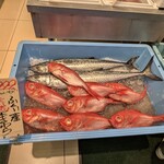 Queen's Mart ヤオマサ - 店内