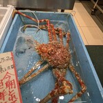 Queen's Mart ヤオマサ - 店内