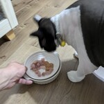 Queen's Mart ヤオマサ - 食べてみた