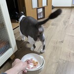 Queen's Mart ヤオマサ - 食べてみた