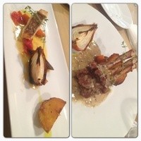 メルモーゾ ダ ドロカワ - 