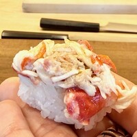 鎌倉 北じま - 2025.4.  イバラガニモドキ