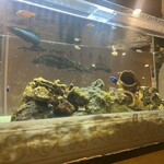 トラットリア デルフィーノ - 