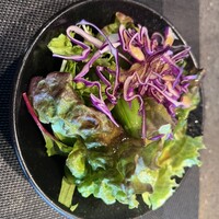 ニュー松坂 梅田32番街店 - サラダ