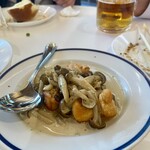 Sheva - 