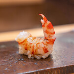 鮨 いとう - 車海老の昆布締め