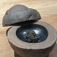 bb9 - 
