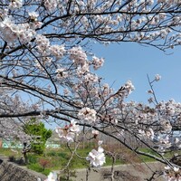 旬活和食 ままや - 