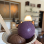 ARBOL ICECREAM - 料理写真:
