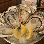 Oyster Bar ジャックポット - 