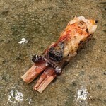 神田錦町 鮨たか晴 - 牡丹海老頭 Food Presentation 