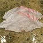 神田錦町 鮨たか晴 - 真鯛（福島）