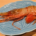 神田錦町 鮨たか晴 - 牡丹海老 Food Presentation