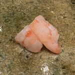 神田錦町 鮨たか晴 - 牡丹海老（北海道）