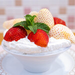 さくら氷菓店 - 2025.4 三種の生いちごミルフィーユ マスカルポーネ Sサイズ（2,100円）