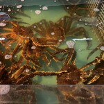 釧路和商市場 - 