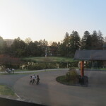 プリムローズ - 窓外の景色