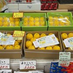 アグリファーム高知 - 春から初夏は小夏