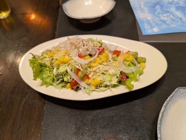 GOCHI Tokiwa photo 5