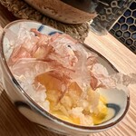 土佐みょうじん - 