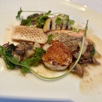 THE COSMOPOLITAN GRILL BAR TERRACE - 