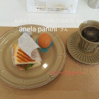 anela panini_0