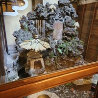 ぼたん - 