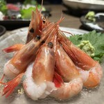 個室居酒屋 和菜美 札幌駅前店 - 