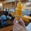 道の駅 高千穂 - 料理写真: