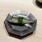 鮨 西崎 - もう稚鮎が出て来ましたか。
      さっぱりと山椒で炊いて、稚鮎の苦味がしっかり感じられます。