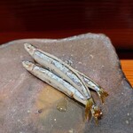 鮨匠 のむら - キビナゴ