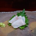 鮨匠 のむら - クエ