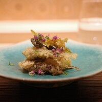 京道 とよおか - ホタルイカの天ぷらと白子筍