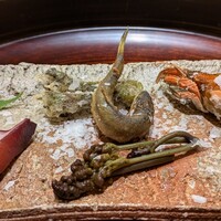 一心鮨 光洋 - 