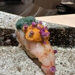 熟成鮨利他 難波 心斎橋 - 