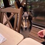 カフェ まいら - 