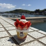 Mochikaeri Parfait Berry