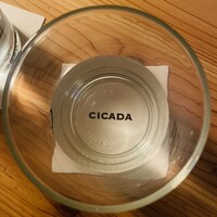 CICADA - 