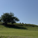 ローズマリーカフェ - 牛のいる風景