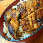 うなぎ処　もりやま - うな丼、ご飯大盛りでっ！！昨年よりもアップ気味に。