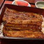 うなぎ 宮川 - アップ