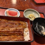 うなぎ 宮川 - 鰻重い