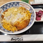 かつてん 苗穂イオン店 - フリーの揚げ玉をかけてみた。