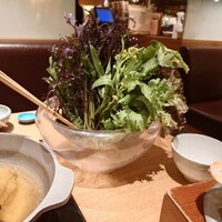 やさい家めい ルミネ横浜店 - 